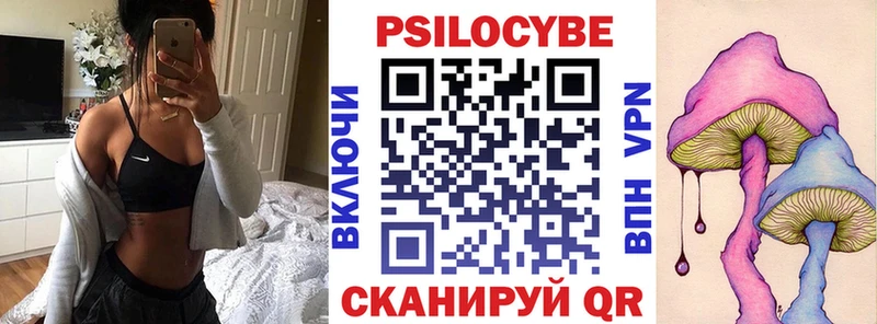 цены наркотик  Олонец  Галлюциногенные грибы прущие грибы 